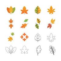 Herbst Ahorn Blatt Vektor Illustration Design Vorlage