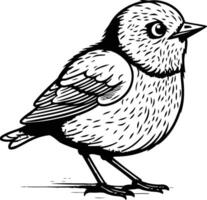 Vektor Illustration von ein Blau Vogel auf ein Weiß Hintergrund. Hand Zeichnung