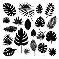 exotisch Blatt einstellen Vektor Sammlung von tropisch Blätter Silhouette