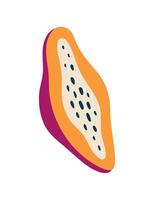 hell Papaya im ein modern Stil. isoliert Vektor Illustration zum Ihre Design