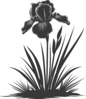 ai generiert Silhouette Iris Blume im das Boden schwarz Farbe nur vektor