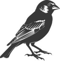 ai generiert Silhouette Haus Spatz Vogel Tier schwarz Farbe nur vektor