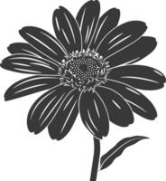 ai generiert Silhouette Gänseblümchen Blume schwarz Farbe nur vektor