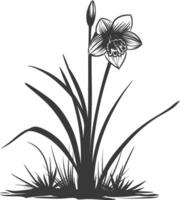 ai generiert Silhouette Narzisse Blume im das Boden schwarz Farbe nur vektor