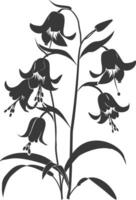 ai generiert Silhouette Glockenblume Blume schwarz Farbe nur vektor