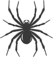 ai generiert Silhouette Spinne Tier schwarz Farbe nur vektor