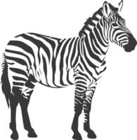 ai generiert Silhouette Zebra Tier schwarz Farbe nur vektor