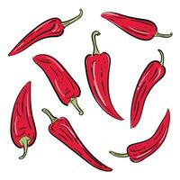 ganze rot heiß Pfeffer Chili. Jahrgang Schraffur Vektor Farbe und schwarz Illustration. isoliert auf Weiß Hintergrund. Hand gezeichnet Design