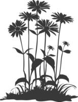 ai generiert Silhouette Aster Blume im das Boden schwarz Farbe nur vektor