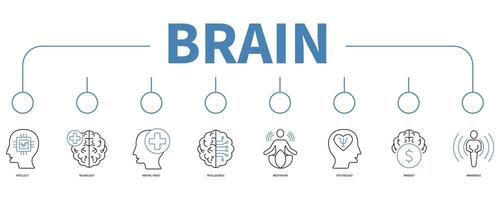 Gehirn Banner Netz Symbol Vektor Illustration Konzept