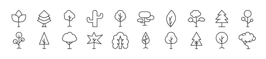 lövfällande och barrträd vektor bilder dragen med tunn linje. redigerbar stroke. enkel linjär illustration för webb webbplatser, tidningar, artiklar bok