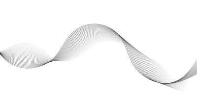 modern Vinka linje bakgrund. abstrakt strömmande linje mönster. svart rader på vit bakgrund. vågig Ränder på vit isolerat bakgrund. vektor