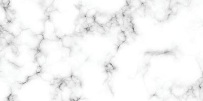 natürliche weiße marmorsteinstruktur. steinkeramik kunst wand interieur hintergrund design. nahtloses muster aus fliesenstein mit hell und luxus. weiße Carrara-Marmor-Steinstruktur. vektor