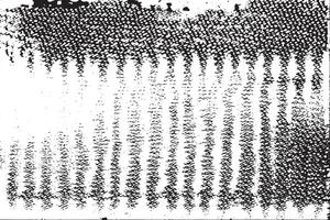 svart och vit grunge textur. vektor illustration för bakgrund textur täcka över svartvit nedstämd