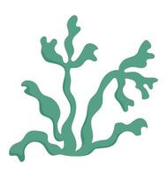 vektor grön sjögräs ikon. under de hav illustration med söt fucus. hav växt ClipArt. tecknad serie under vattnet eller marin klämma konst för barn isolerat på vit bakgrund