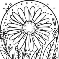 daisy blomma färg sidor. daisy översikt vektor för färg bok
