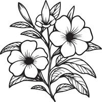 Allamanda kathartisch botanisch Illustration, Allamanda kathartisch Vektor Kunst, Allamanda kathartisch Linie Zeichnungen, Allamanda kathartisch Mauer Dekor, Allamanda kathartisch isoliert auf Weiß Hintergrund