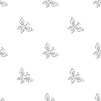 sömlös fjäril mönster. prydnad med fjärilar. dragen vår illustration vektor