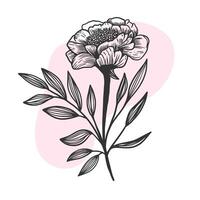 lyx blommor och logotyp. trendig botanisk element. hand dragen linje löv grenar och blomning. bröllop elegant vild för inbjudan spara de datum kort. vektor