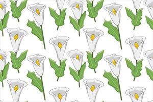 mönster av vit callas. vit blommor på en stam med grön löv på en vit bakgrund. exotisk bukett för en bröllop. knoppar. sömlös mönster. omslag. färgad hand ritade. vektor illustration.