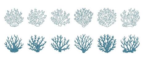 einstellen von Koralle Riffe oder Algen, unter Wasser Pflanzen. einstellen von Meer Koralle Symbole. skizzieren, Illustration. Vektor