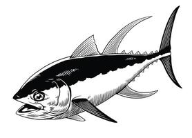 Thunfisch Fisch Illustration Hand gezeichnet Jahrgang Stil vektor