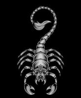 isolierter Skorpion auf schwarzem Hintergrund-Vektor-Illustration vektor