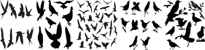Wappenadler, Falken und Falken, schwarzer Adler mit ausgebreiteten Flügeln, fliegender Weißkopfseeadler