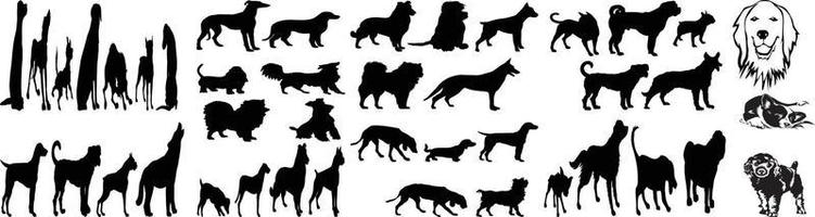 Vektorsilhouetten von Hunden, Vektor, isolierte schwarze Silhouette eines Hundes, Sammlung, beliebte Hunderassen, Katzen- und Hundefreunde vektor