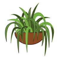 krukväxter exotisk behållare ikon tecknad serie vektor. fönster vegetation vektor