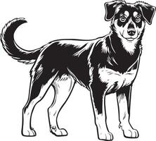 svart och vit vektor illustration av en beauceron hund