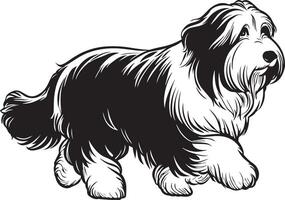 svart och vit vektor illustration av en skäggig collie hund