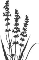 ai generiert Silhouette Lavendel Blume schwarz Farbe nur vektor