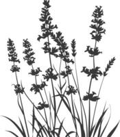 ai genererad silhuett lavendel- blomma svart Färg endast vektor