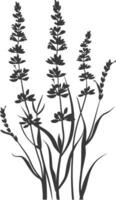 ai generiert Silhouette Lavendel Blume schwarz Farbe nur vektor