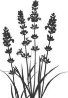 ai genererad silhuett lavendel- blomma svart Färg endast vektor