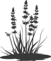 ai generiert Silhouette Lavendel Blume im das Boden schwarz Farbe nur vektor