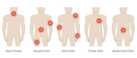 Körper Schmerzen Farbe Illustration mit Mann und wund Kehle, Muskel, gemeinsam, Truhe und Bauch Schmerzen vektor