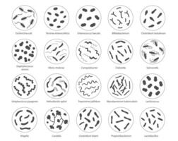 uppsättning av bakterie i en förstorande glas. vektor illustration i klotter stil
