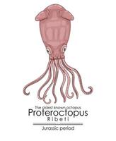 de äldsta känd bläckfisk proteroctopus ribeti vektor
