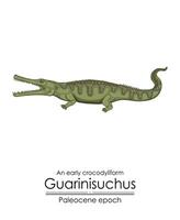 ett tidigt krokodyliform guarinisuchus från paleocen epok. vektor