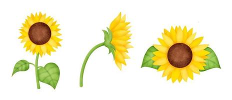 handgezeichnetes Aquarell Sonnenblumen-Set. vektor