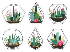 terrarium växter. geometrisk saftig, kaktus terrarier, hand dragen terrarier med exotisk växter, scandinavian stil vektor illustration uppsättning