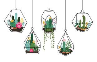 klotter hängande terrarium. suckulenter och kaktusar glas florarium, tropisk växter interiör geometrisk terrarium isolerat vektor illustration uppsättning