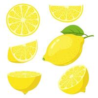 citron- skivor. citrus- frukt skiva, saftig gul citroner, skivad färsk citroner, vitamin c vegetarian mogen citrus- frukt vektor illustration uppsättningar