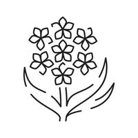 Frühling Blumen Linie Symbol. Wald Farn Eukalyptus Kunst Laub natürlich Blätter Kräuter. dekorativ Schönheit elegant Illustration zum Design Hand gezeichnet Blume. vektor