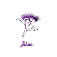Ohia lehua, Zustand Blume von Hawaii. Hand gezeichnet botanisch Vektor Illustration