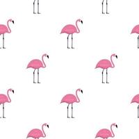 rosa flamingo sömlös bakgrund. vektor illustration