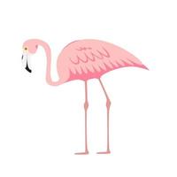 bunter rosa dekorativer Flamingo lokalisiert auf weißem Hintergrund. Vektor-Illustration vektor