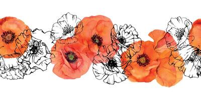 Hand gezeichnet Aquarell botanisch Illustration Blumen Blätter. rot Mohn Papaver, Stängel Knospen Samenkapseln. nahtlos Banner isoliert Weiß Hintergrund. Design Hochzeit, Liebe Karten, Erinnerung Tag Schreibwaren vektor